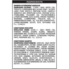 Dark & Natural 5 Minute Shampoo in Permanent Men's Hair Color, Natural Black